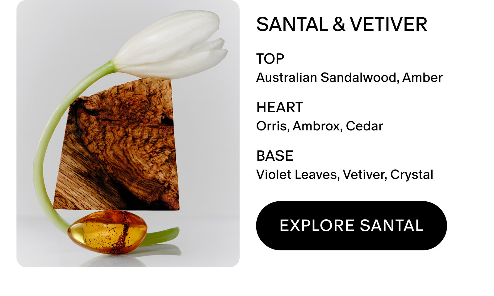 santal & vetiver scent notes