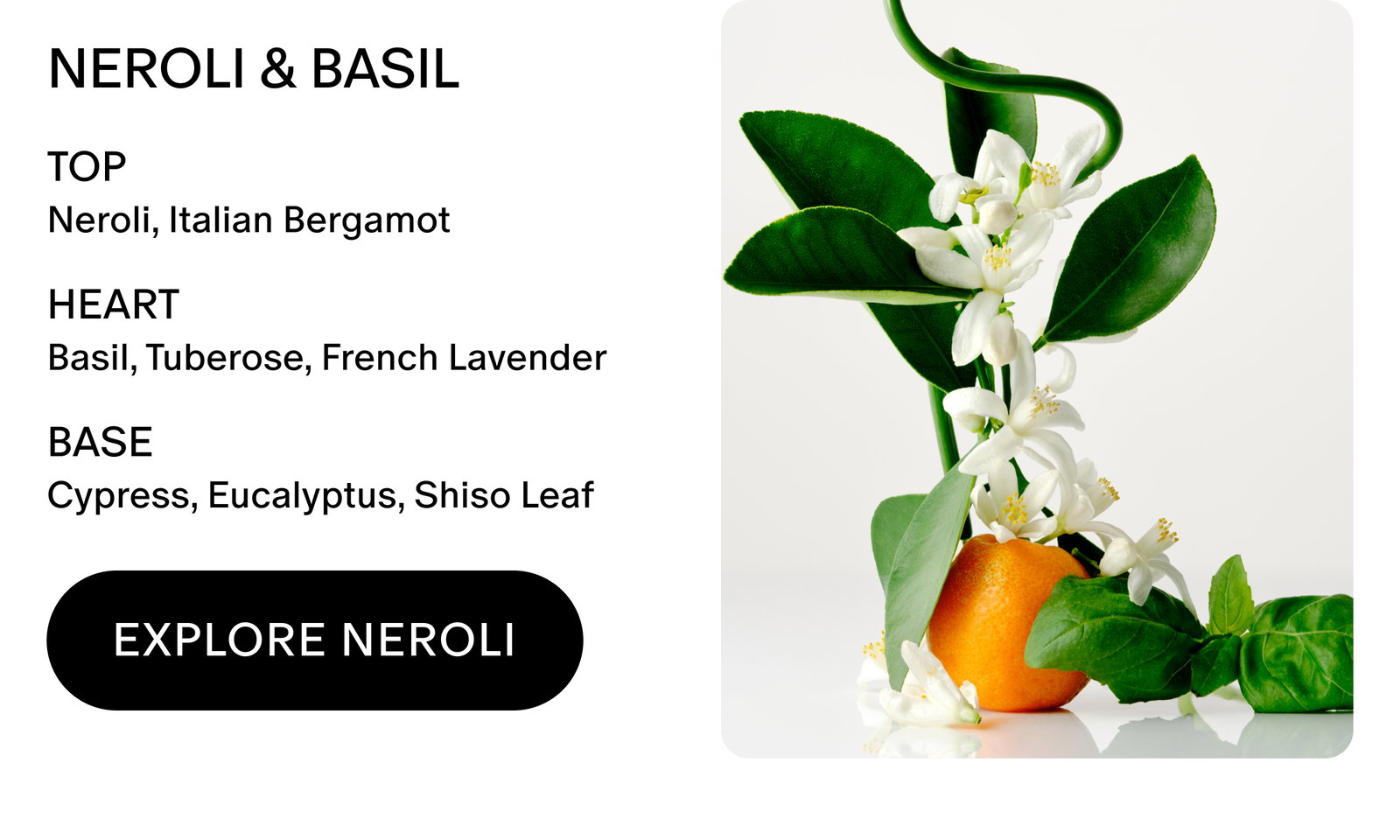 Neroli & basil scent notes