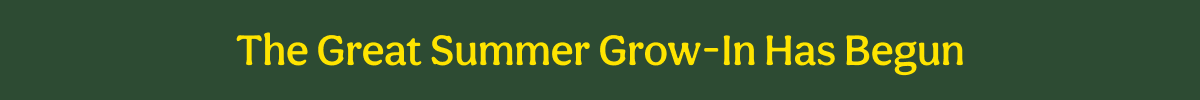 The Great Summer Grow-In Has Begun