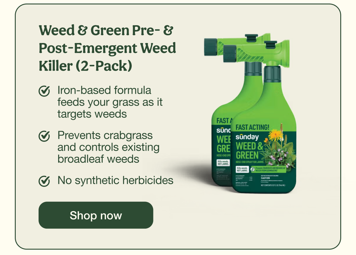 Weed & Green Pre-emergent and Post-Emergent Weed Killer (2-Pack) | Shop now