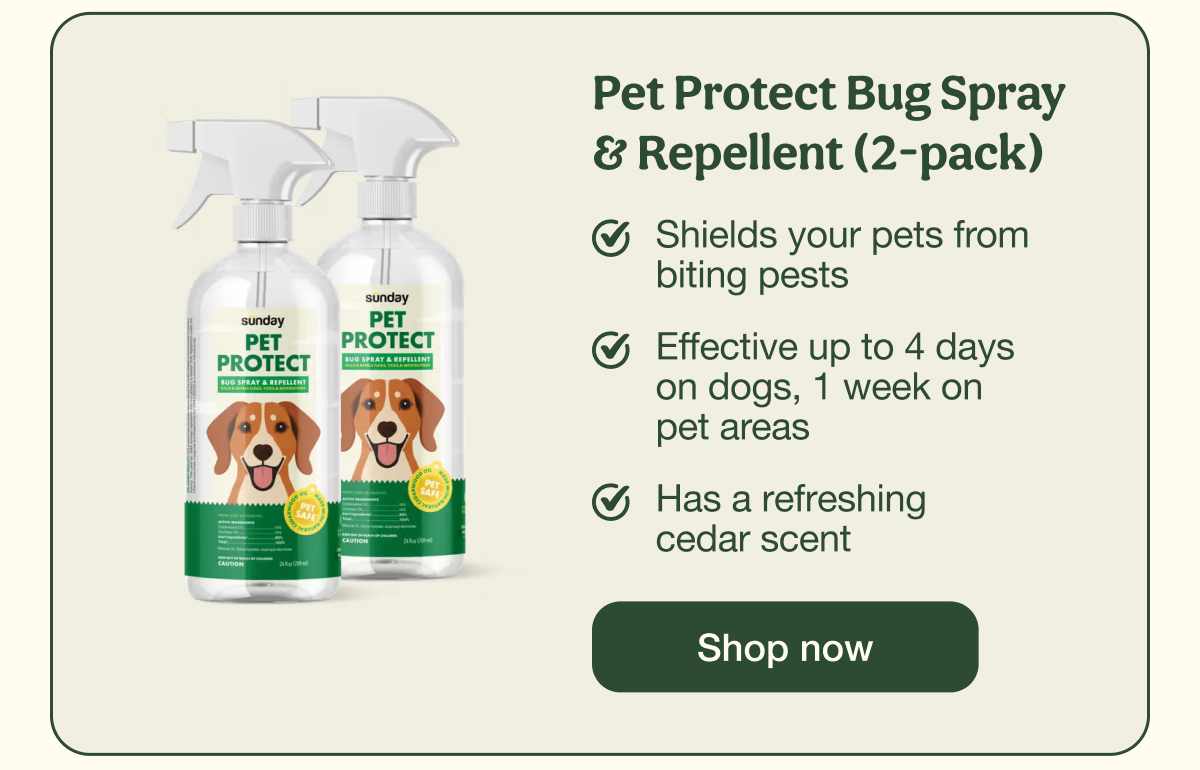 Pet Protect Bug Spray & Repellent (2-pack) | Shop now