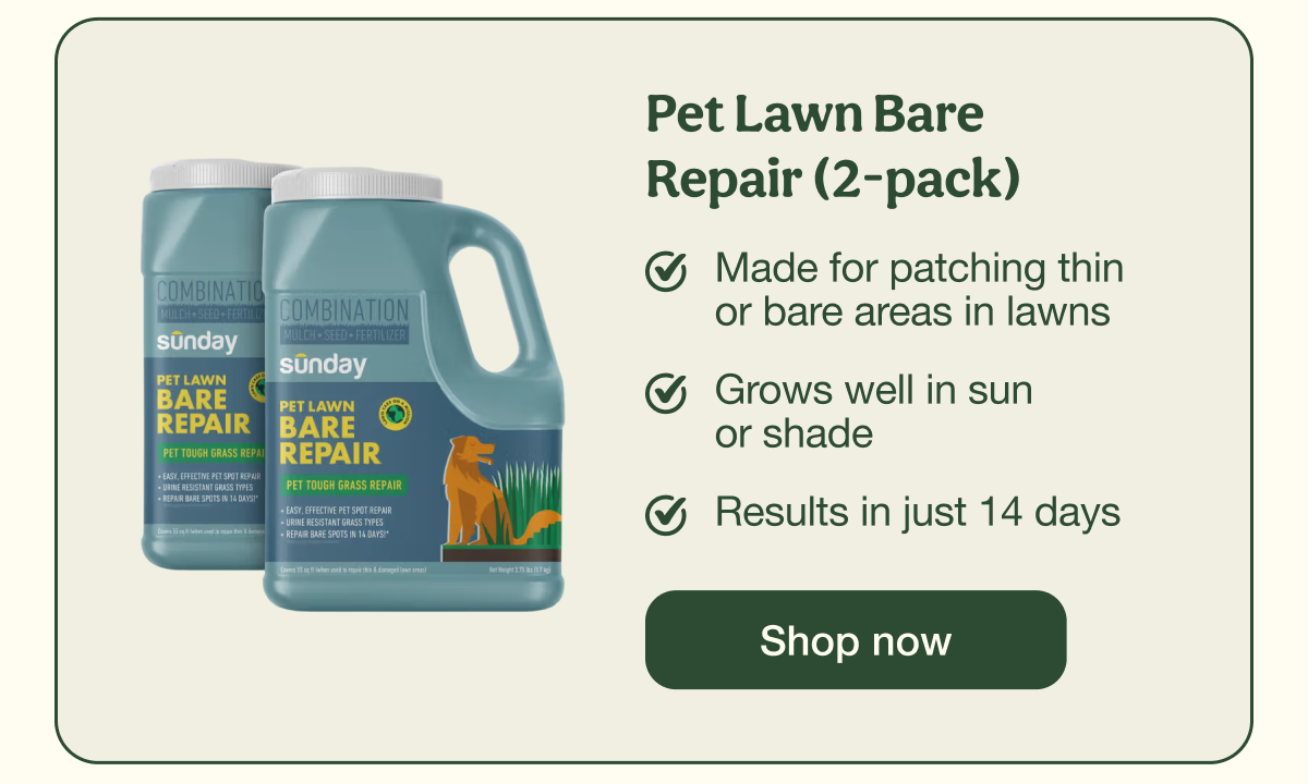 Pet Lawn Bare Repair (2-pack) | Shop now