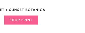 Shop Sunset Botanica