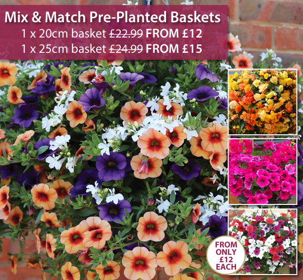 Mix & Match Baskets