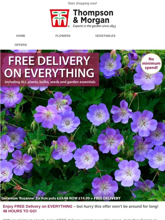 FREE DELIVERY on EVERYTHING! 48 HOURS TO GO!