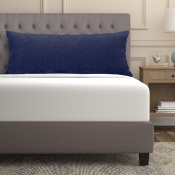Sealy Sterling Collection Huggable Body Pillow