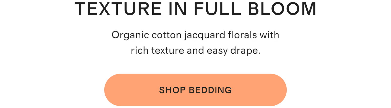 TEXTURE IN FULL BLOOM