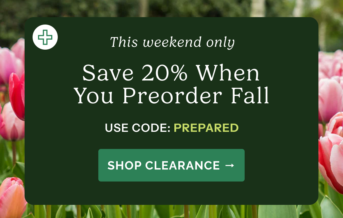 This weekend only Save 20% When You Preorder Fall – Use code: PREPARED – Shop Clearance>>
