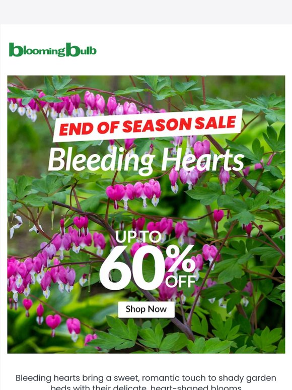 Bleeding hearts thrive in shade. End Of Season Sale!
