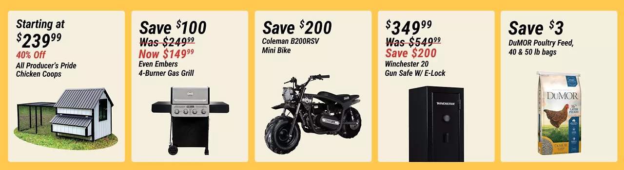 In-Store Flash Sales B1