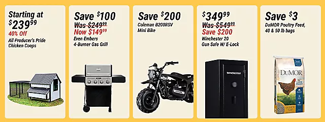 In-Store Flash Sales B1