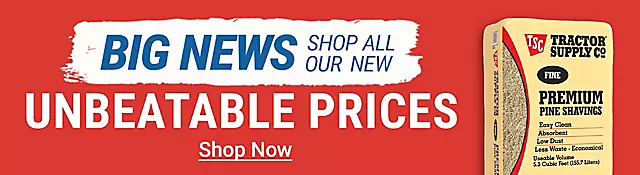 Unbeatable Prices