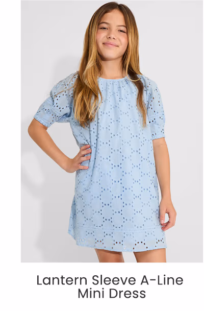 Lantern Sleeve A-Line Mini Dress