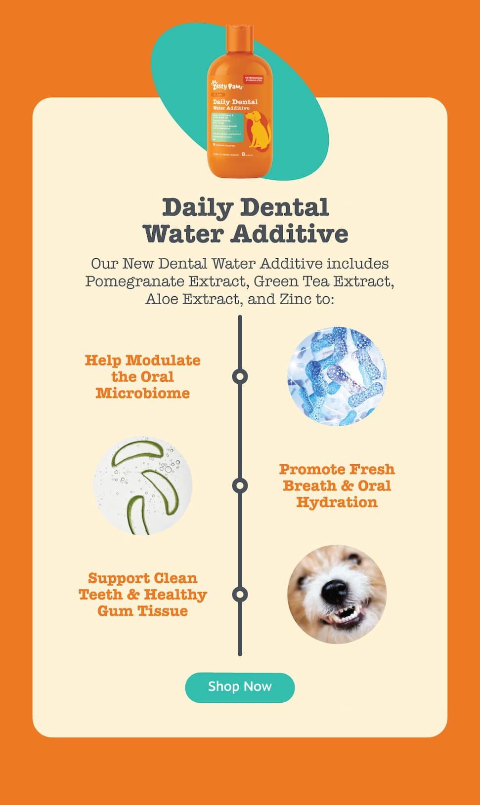 Our New Dental Water Additive includes Pomegranate Extract, Green Tea Extract, Aloe Extract, and Zinc to: 1) Help Modulate the Oral Microbiome, 2) Promote Fresh Breath & Oral Hydration, 3) Support Clean Teeth & Healthy Gum Tissue