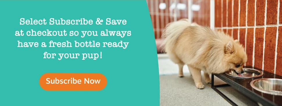 Select Subscribe & Save at checkout so you always have a fresh bottle ready for your pup! Subscribe Now