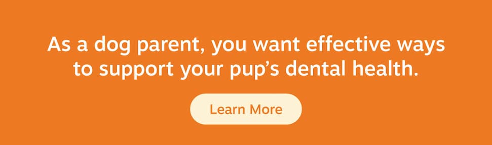 As a dog parent, you want effective ways to support your pup's dental health. Learn more!