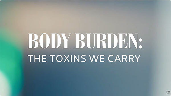 Body Burden