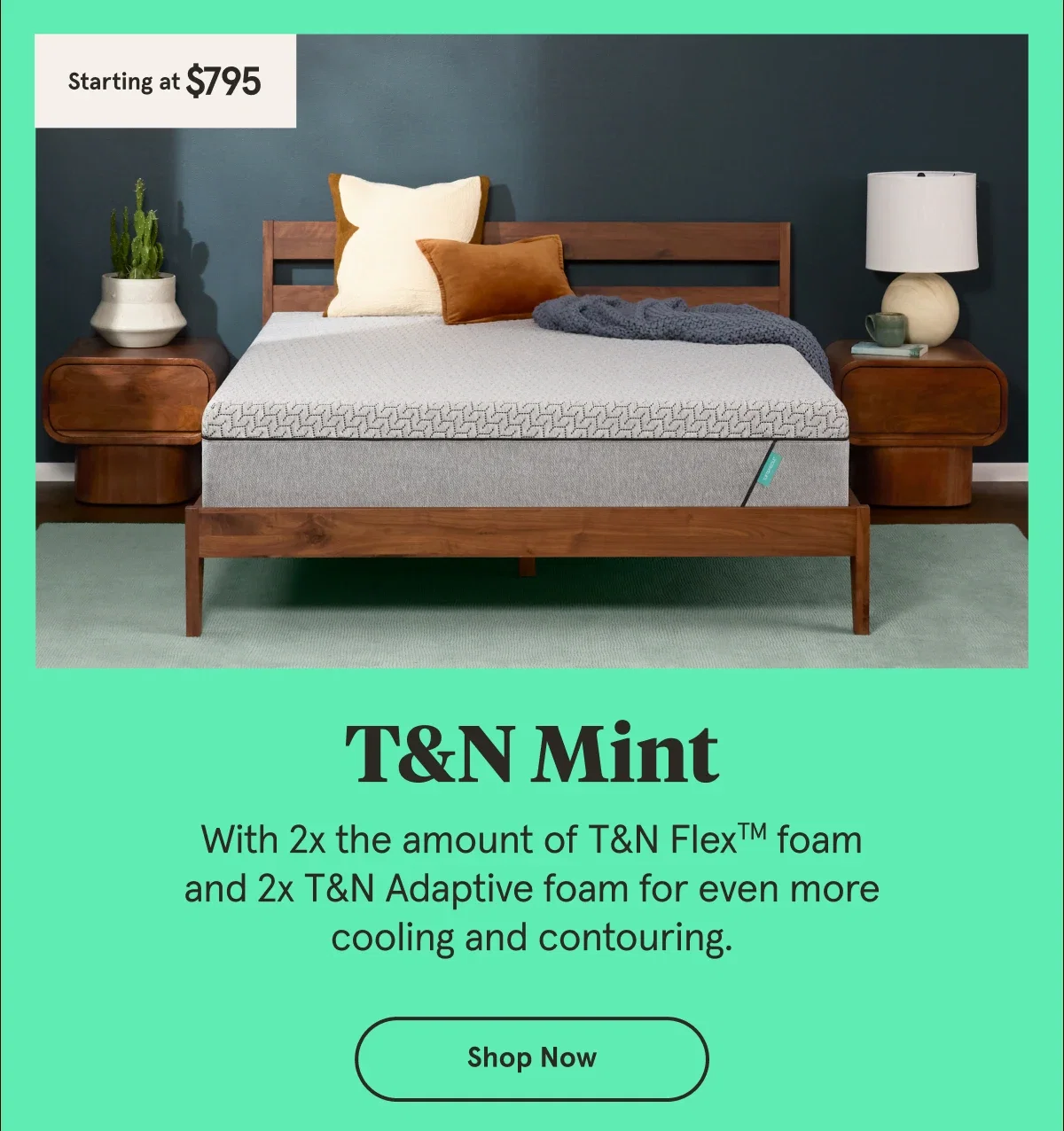 T&N Mint | Shop Now