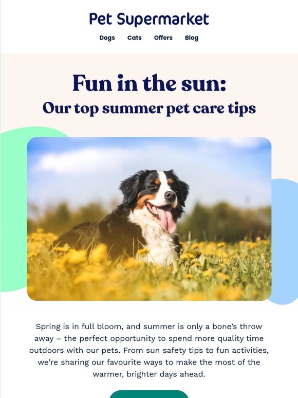Summer with pets: 7 ways to enjoy the outdoors
