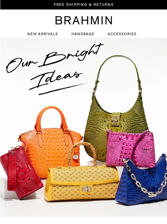 💡 Our Brightest Collections!
