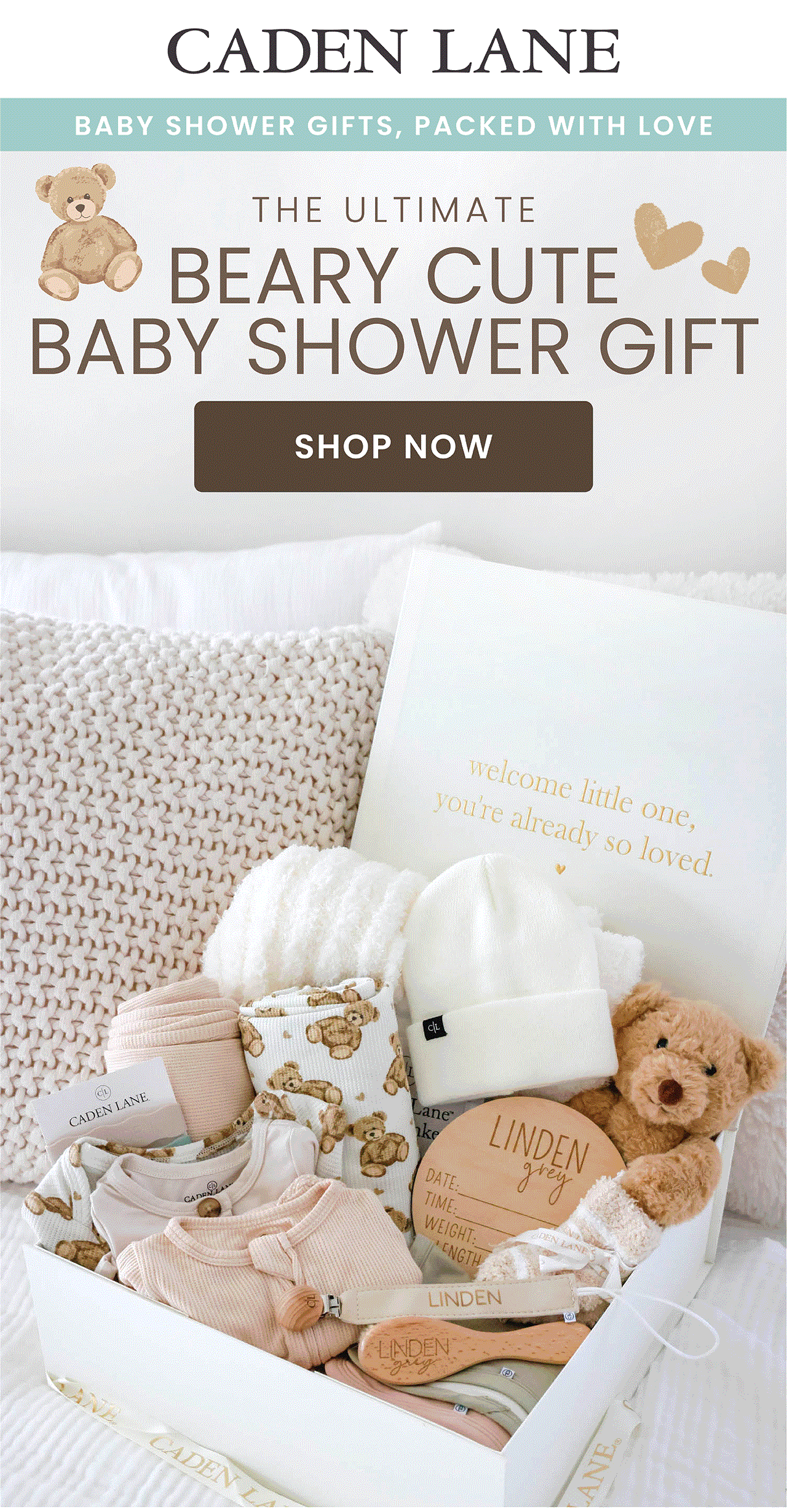 The Ultimate BEARY CUTE BABY SHOWER GIFT SHO NOW