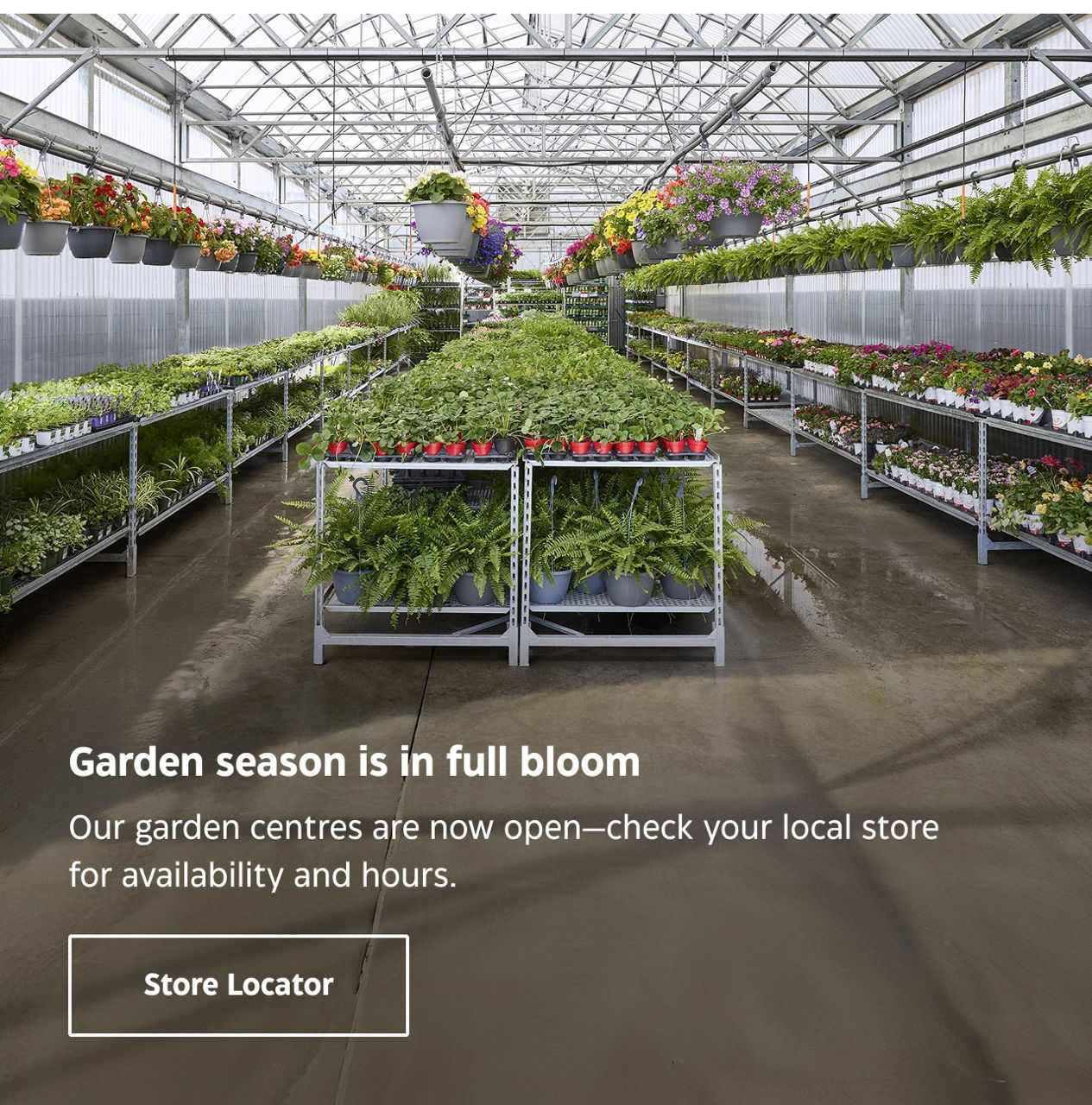 Garden season is in full bloom. Our garden centres are now open—check your local store for availability and hours. Store Locator.