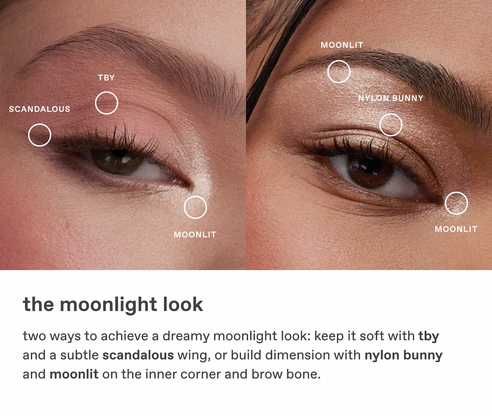 dangerous woman eyeshadow quad two looks