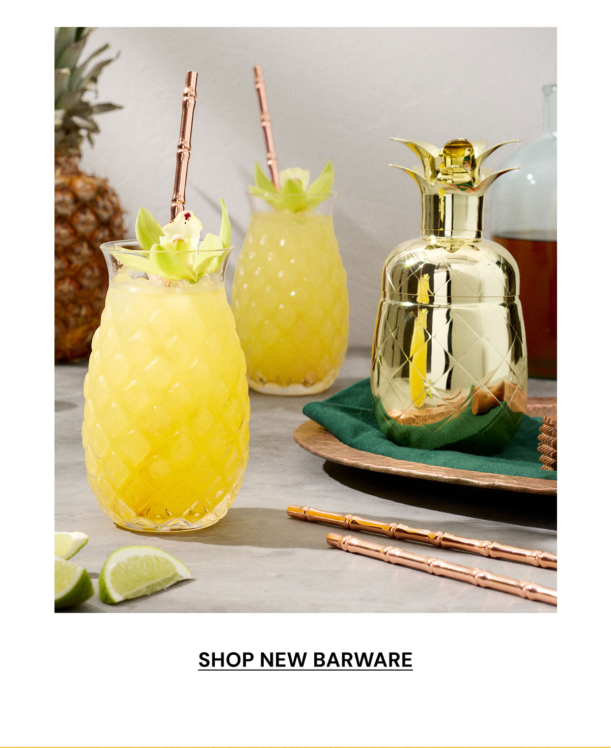 Shop New Barware