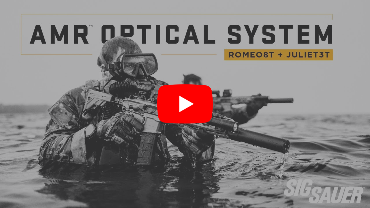 VIDEO: AMR Optical System