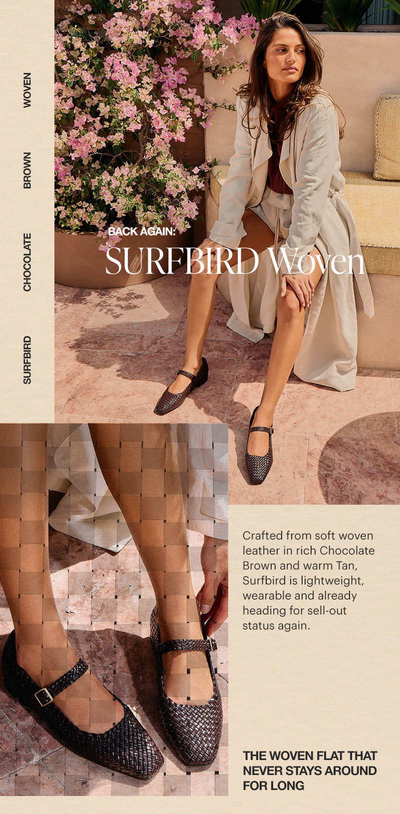 Surfbird, Chocolate Brown Woven
