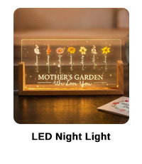 LED Night Light