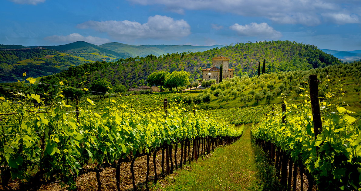 Chianti
