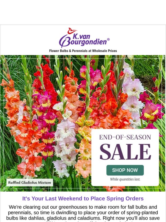 Just 2 Days Left to Order For Spring ⏱️