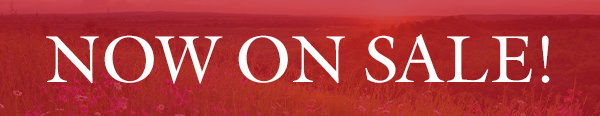 Your item is now on sale