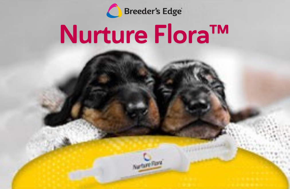 Nurture Flora