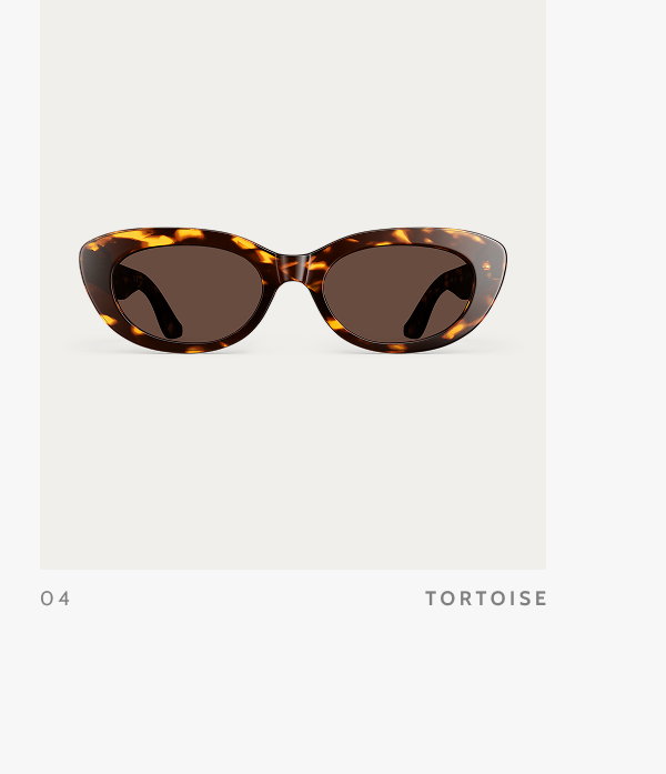 04. Tortoise.