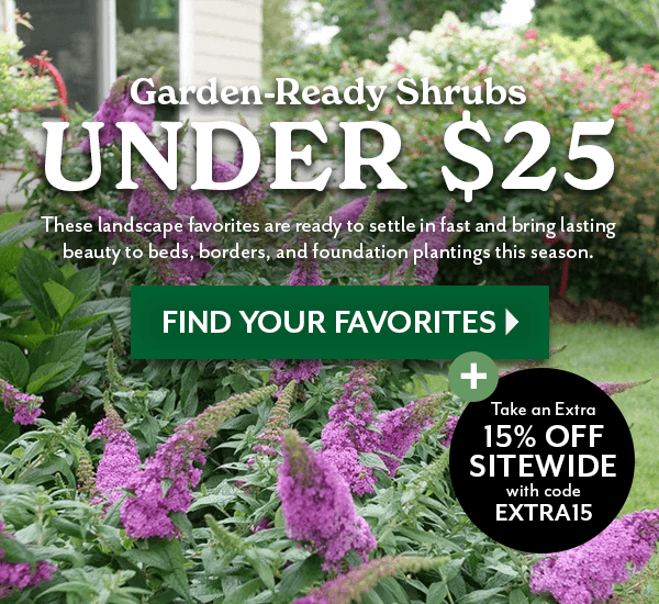 GARDEN READY SHRUBS UNDER $25