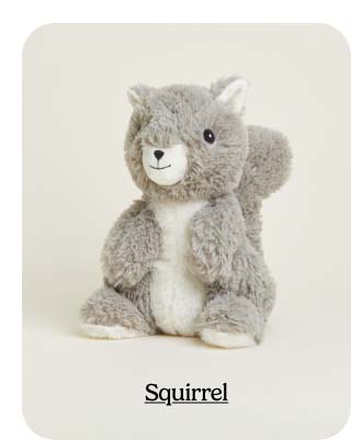 Shop Squirrel