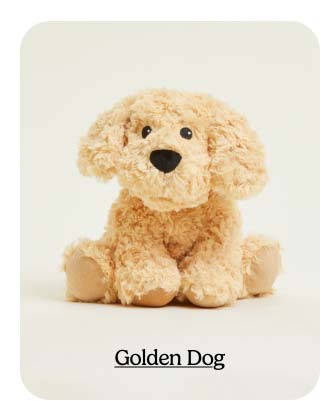 Shop Golden Dog