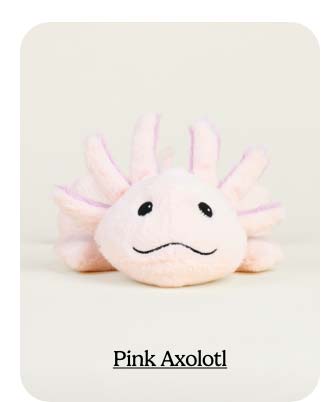 Shop Pink Axolotl