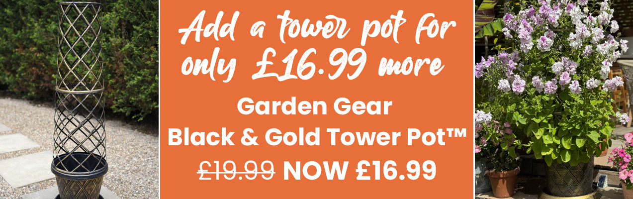 Garden Gear Black & Gold Tower Pot™
