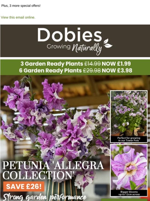 NEW Climbing Petunias from Just £1.99