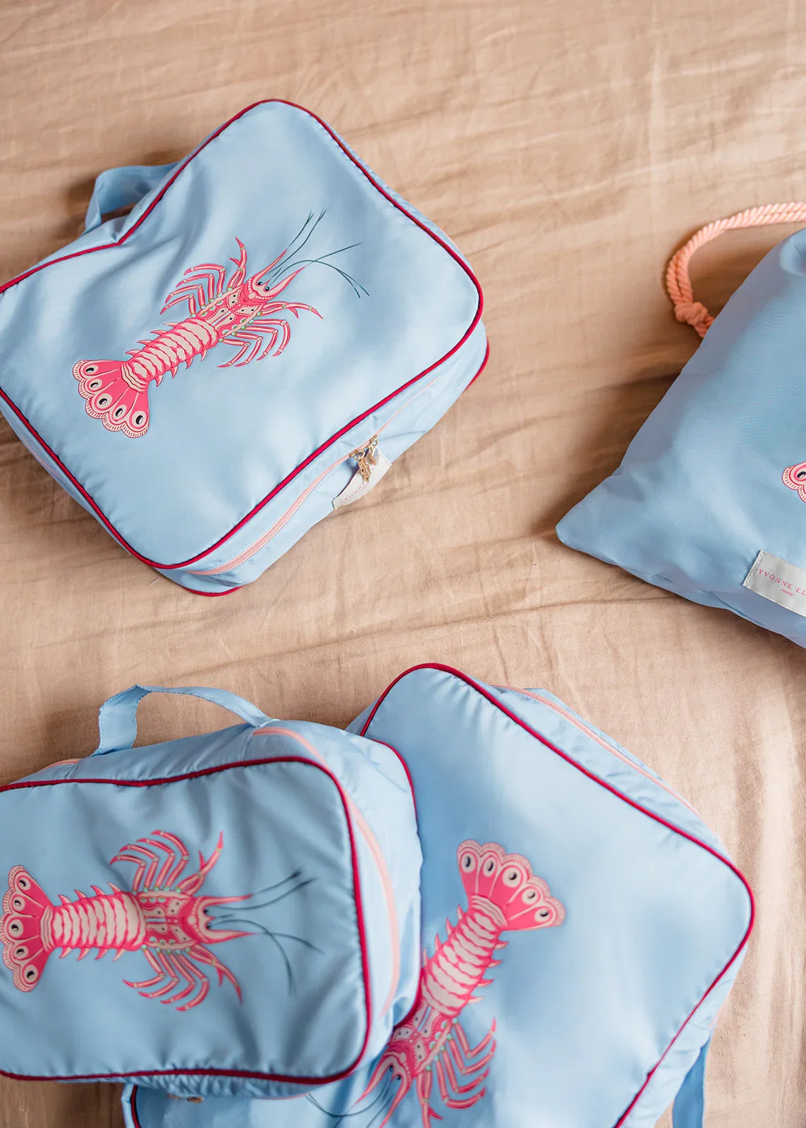 Image of Pale Blue Lobster Packing Cube Set