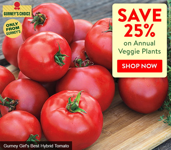 Save 25% on Annual Plants