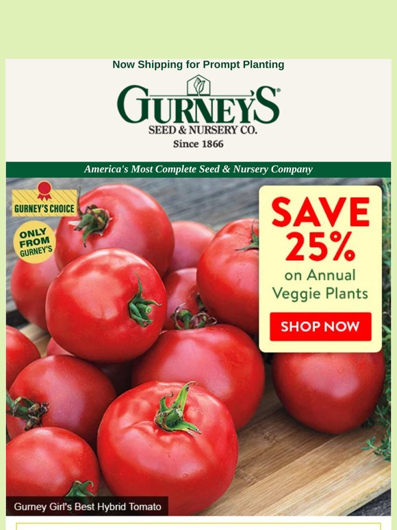 Last chance to order—and save 25%—on annual veggie plants!