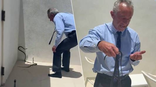 “Bijten ze?” - “Ja!” Amerikaanse minister vangt slangen met blote handen in bizarre video