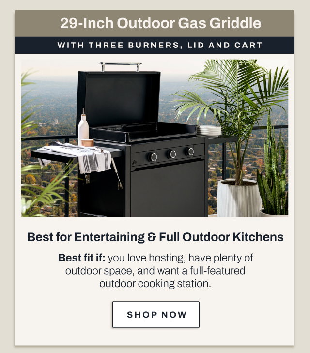 29 Inch outdoor griddle