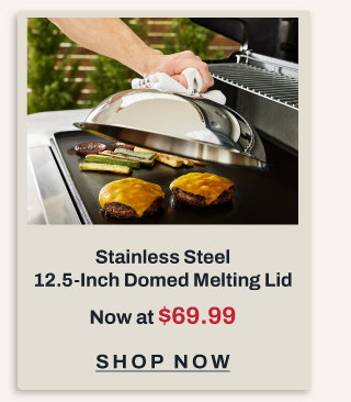 12.5 Inch stainless steel domed melting lid