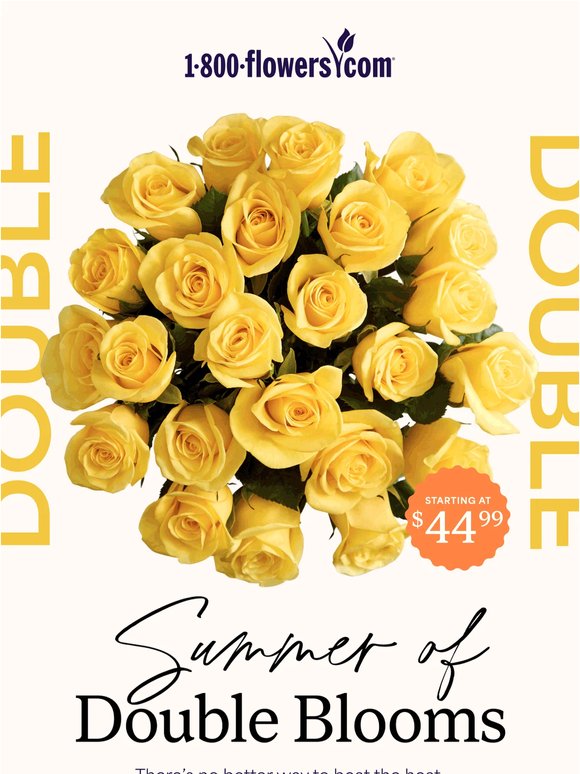 Get free blooms when you double up on these roses