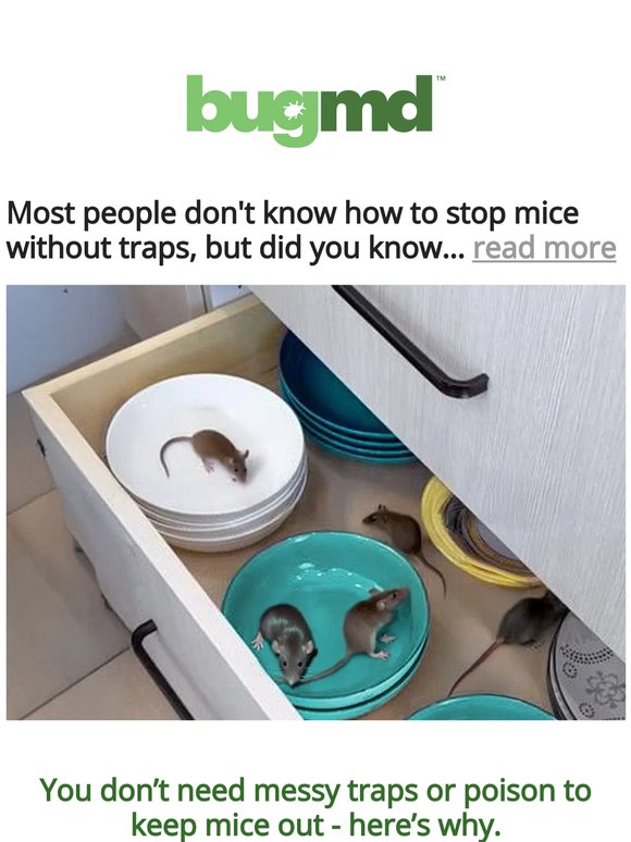 First Name, most people don't know this